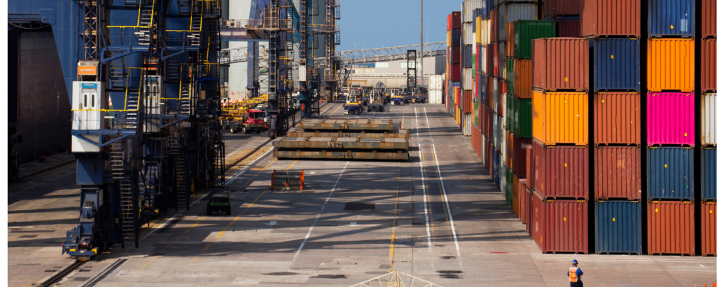 Port Facility Security Officer (PFSO)